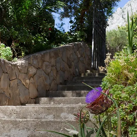 Appartement Apartments Podgora Podgora (Split-Dalmatia)