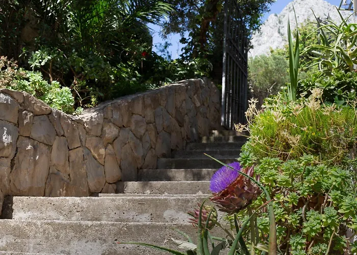 شقة Apartments Podgora بودغورا